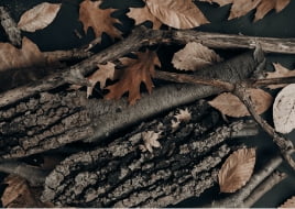 dts winter-textures-danny-owens-3012