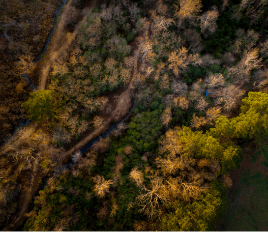 nathan anderson-d-1-g-psen-9-d-oe-unsplash